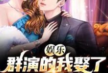 娛樂：群演的我娶了國民女神張凡秦冰，娛樂：群演的我娶了國民女神最新章節-錘石文學