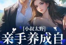 小叔太野,亲手养成自己的小妻子苏婉宁傅询,小叔太野,亲手养成自己的小妻子最新章节-锤石文学