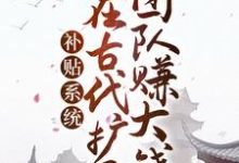 补贴系统:我在古代扩展团队赚大钱赵百汇赵锦衣,补贴系统:我在古代扩展团队赚大钱最新章节-锤石文学