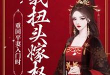 重回平妻入门时，我扭头嫁权王瞿绾眉赵君屹，重回平妻入门时，我扭头嫁权王最新章节-锤石文学