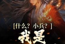 什么?小兵?我是你兵爷爷!徐青临清瑶,什么?小兵?我是你兵爷爷!最新章节-锤石文学