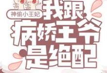 神偷小王妃:我跟病嬌王爺是絕配楚九歌容淵紫星洲空魂,神偷小王妃:我跟病嬌王爺是絕配最新章節-錘石文學