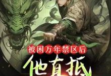 被困万年禁区后,他直抵帝尊之境林峰,被困万年禁区后,他直抵帝尊之境最新章节-锤石文学