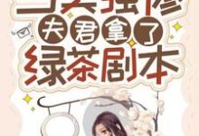 當美強慘夫君拿了綠茶劇本趙漾寧睿,當美強慘夫君拿了綠茶劇本最新章節-錘石文學