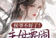 侯爷不好了!主母要闹和离了 温婉谢流云,侯爷不好了!主母要闹和离了最新章节-锤石文学