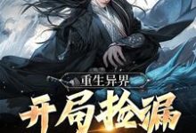 重生异界:开局捡漏化参天石江宁萧清研,重生异界:开局捡漏化参天石最新章节-锤石文学