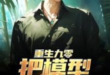 重生九零:把模型改成战机杜仲,重生九零:把模型改成战机最新章节-锤石文学