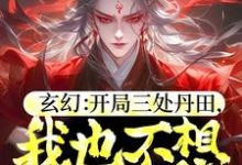 玄幻:开局三处丹田,我也不想无敌啊!龙飞雪,玄幻:开局三处丹田,我也不想无敌啊!最新章节-锤石文学