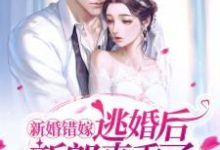 新婚错嫁,逃婚后新郎真香了!宋蕴蕴江曜景,新婚错嫁,逃婚后新郎真香了!最新章节-锤石文学