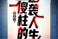 四合院：傻柱的逆袭人生何雨柱娄小娥，四合院：傻柱的逆袭人生最新章节-锤石文学