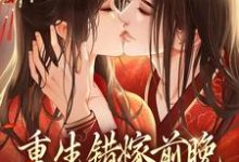 重生錯嫁前晚，我找上前夫他爹蘇蒹葭沈鶴亭，重生錯嫁前晚，我找上前夫他爹最新章節-錘石文學