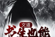 文道：书生也能破万军李长安安南栀，文道：书生也能破万军最新章节-锤石文学