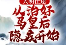 大明仕途：从治好马皇后隐疾开始李青朱元璋，大明仕途：从治好马皇后隐疾开始最新章节-锤石文学