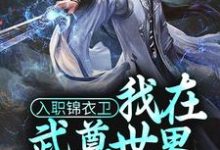 入职锦衣卫，我在武尊世界为朝廷效力林枭，入职锦衣卫，我在武尊世界为朝廷效力最新章节-锤石文学