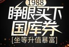 1988：睁眼买下国库券，坐等升值暴富林致远武小青，1988：睁眼买下国库券，坐等升值暴富最新章节-锤石文学