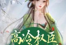 高冷权臣他心悦于我姜愫顾呈域，高冷权臣他心悦于我最新章节-锤石文学