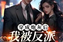 穿成炮灰后,我被反派夫人拉黑了曹斌唐若雪,穿成炮灰后,我被反派夫人拉黑了最新章节-锤石文学