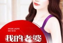 我的老婆是女帝叶火沐水心,我的老婆是女帝最新章节-锤石文学