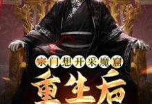 宗门想开采魔窟？重生后我不拦了李澈，宗门想开采魔窟？重生后我不拦了最新章节-锤石文学