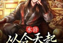 水浒:从今天起,梁山我做主王伦林冲,武松,水浒:从今天起,梁山我做主最新章节-锤石文学