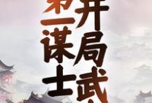 三国：第一谋士，开局武力王骁，三国：第一谋士，开局武力最新章节-锤石文学