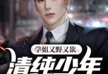 学姐又野又欲，清纯少年他红了脸萧辰林岚，学姐又野又欲，清纯少年他红了脸最新章节-锤石文学