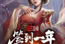 三国：签到一年续娶蔡文姬卫宁王异，三国：签到一年续娶蔡文姬最新章节-锤石文学