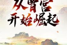 三国：从曹营开始崛起典默曹操，三国：从曹营开始崛起最新章节-锤石文学