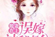 暖妻在上:误嫁神秘老公顾星辰沈南城,暖妻在上:误嫁神秘老公最新章节-锤石文学