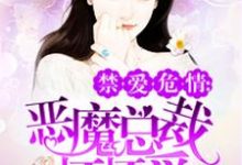 恶魔总裁坏坏爱顾婉雪慕轩宸慕北城,恶魔总裁坏坏爱最新章节-锤石文学