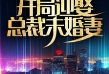 高手下山:开局迎娶总裁未婚妻 林凡叶韩雪,高手下山:开局迎娶总裁未婚妻最新章节-锤石文学