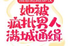 揣崽跑路那夜,她被疯批男人满城通缉齐夏赫连城,揣崽跑路那夜,她被疯批男人满城通缉最新章节-锤石文学