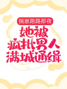 揣崽跑路那夜，她被疯批男人满城通缉齐夏赫连城，揣崽跑路那夜，她被疯批男人满城通缉最新章节