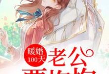 暖婚100天：老公要抱抱宁肖然顾淮宁宁筱安陆向北，暖婚100天：老公要抱抱最新章节-锤石文学