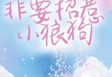 干什么不好?非要招惹小狼狗宋砚西覃郁,干什么不好?非要招惹小狼狗最新章节-锤石文学