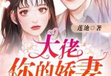 大佬你的娇妻已重生梁湾陆北琛裴悯梁柔,大佬你的娇妻已重生最新章节-锤石文学