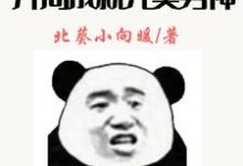 神豪:开局成就完美男神秦淮,神豪:开局成就完美男神最新章节-锤石文学