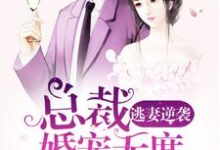 逃妻逆袭：总裁婚宠无度许无忧韩之繁，逃妻逆袭：总裁婚宠无度最新章节-锤石文学