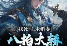 我死时,未婚妻八抬大轿和皇子成亲李辰风苏瑶,我死时,未婚妻八抬大轿和皇子成亲最新章节-锤石文学