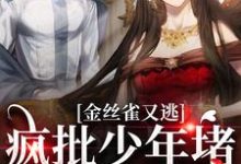 金丝雀又逃,疯批少年堵巷红了眼沈清沅祝怀砚,金丝雀又逃,疯批少年堵巷红了眼最新章节-锤石文学