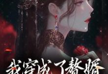 我穿成了赘婿文的大反派云逸苏雨萱,我穿成了赘婿文的大反派最新章节-锤石文学