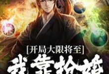 開局大限將至,我靠搶婚續命蘇秦雲鶴,開局大限將至,我靠搶婚續命最新章節-錘石文學