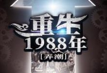 重生1988年刘天齐张雨欣，重生1988年最新章节-锤石文学