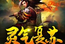 灵气复苏:从获得霸王模板开始无敌李云飞,灵气复苏:从获得霸王模板开始无敌最新章节-锤石文学