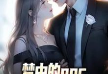 梦中的npc成了现实里的女神萧凡,梦中的npc成了现实里的女神最新章节-锤石文学