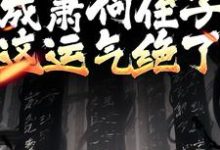 开局成萧何侄子,这运气绝了萧郗,开局成萧何侄子,这运气绝了最新章节-锤石文学