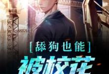 舔狗也能被校花死缠烂打？宋诚孙颖，舔狗也能被校花死缠烂打？最新章节-锤石文学