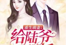 重生萌妻：给陆爷撒撒娇陆斯年郁飞尘宋艺，重生萌妻：给陆爷撒撒娇最新章节-锤石文学