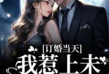 订婚当天，我惹上未婚夫小叔顾彦礼南乔季书宇，订婚当天，我惹上未婚夫小叔最新章节-锤石文学