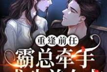 重逢前任:霸总牵手成功前女友陆星辰厉臻,重逢前任:霸总牵手成功前女友最新章节-锤石文学